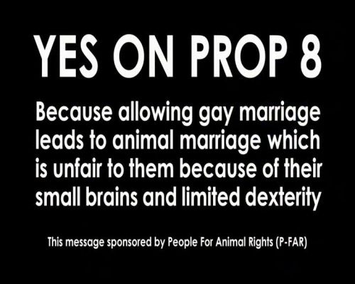 joey-oglesby-prop-8-46